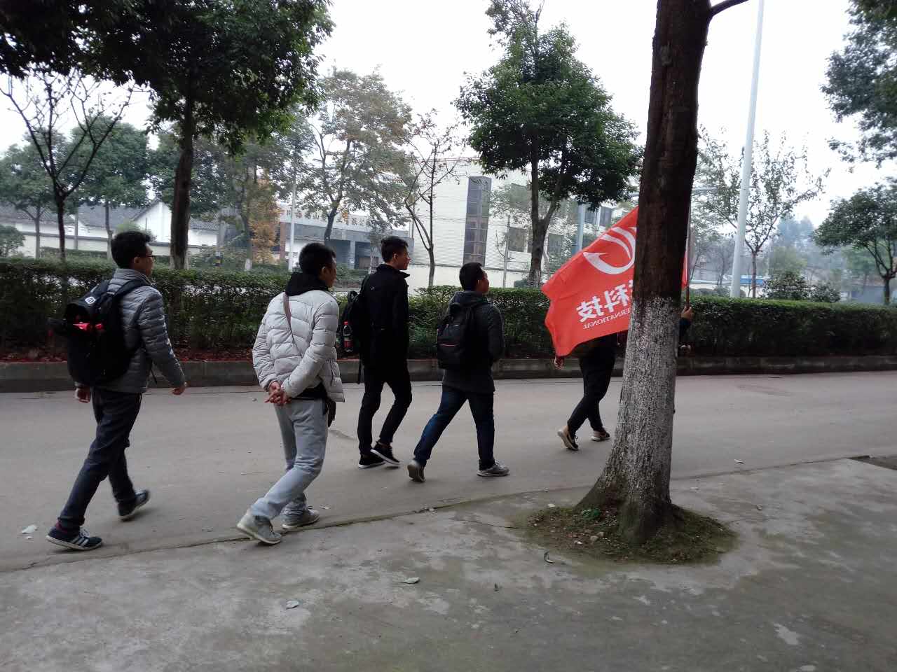 11.jpg